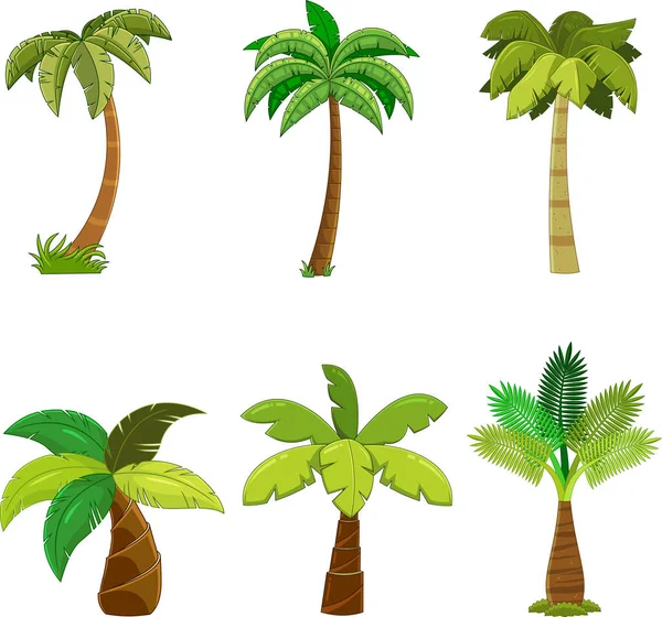 卡通不同的热带棕榈树 白色背景下的矢量手绘集合 — 图库矢量图片