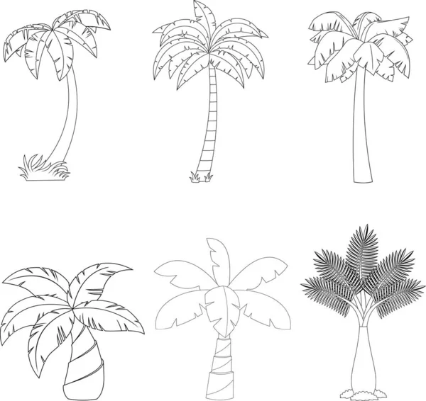 Outlined Cartoon Different Tropical Palm Trees Raster Hand Drawn Collection — Stockvektor
