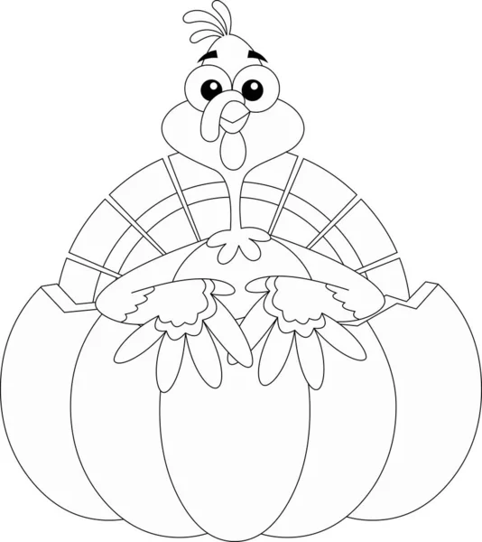 Vektorová Ilustrace Kresleného Krocana Ptáka Postava — Stockový vektor