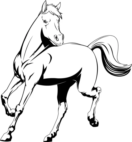 Ilustração Cavalo Vector Isolado Fundo Branco — Vetor de Stock