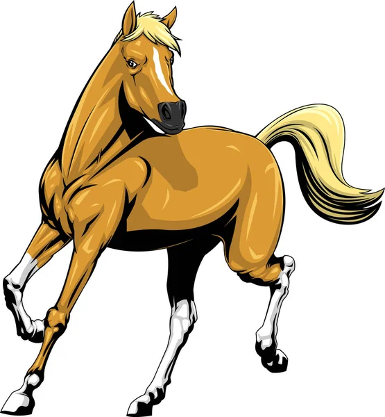 Ilustración Caballo Vector Aislado Sobre Fondo Blanco — Vector de stock