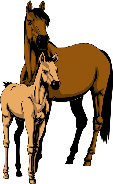 Ilustración Caballo Con Potro Vector Aislado Sobre Fondo Blanco — Vector de stock