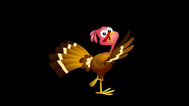 Turkey Cartoon Character Running Raster Hand Drawn Animation Isolated Black — Stock Video