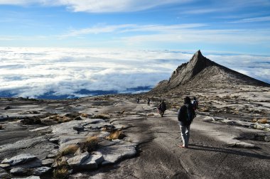 South Peak, Mount Kinabalu clipart