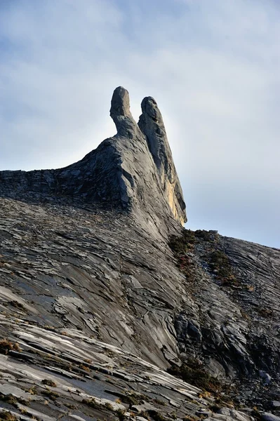 Доки-Ухо на вершине горы Кинабалу — стоковое фото