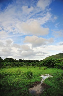 Wetland hemel