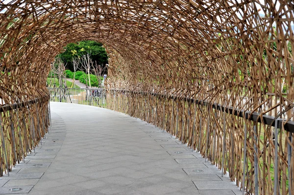 Bamboo tunnel — Stock Photo, Image
