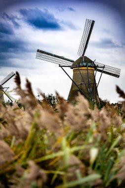 Hollanda 'nın ünlü manzarası, köydeki yel değirmenleri