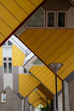 Rotterdam 'da kübik sarı evler