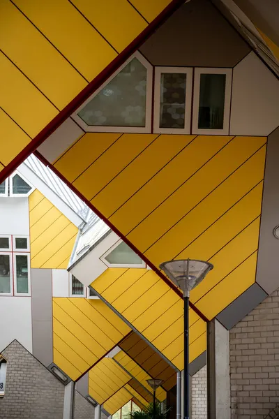 Casas Amarelas Cúbicas Roterdão — Fotografia de Stock