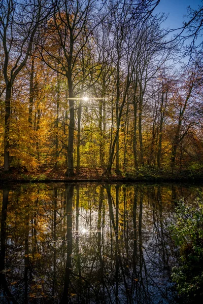 Krásné Podzimní Pozadí Cestičkou Lesem Oranžové Podzimní Listí Zemi Dvěma — Stock fotografie