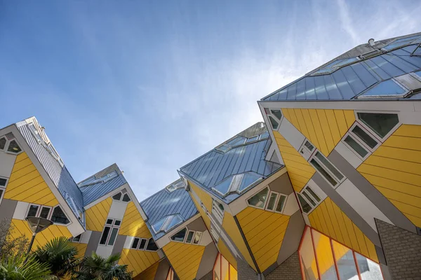 Krychlové Žluté Domy Rotterdamu Piet Blom — Stock fotografie