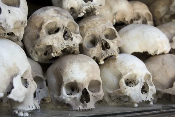 Skulls in killing field — Stock Photo, Image