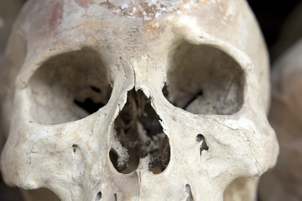 Skulls and bones in Killing field, Cambodia — Stock Photo, Image