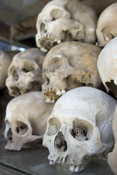 Schädel und Knochen im Tötungsfeld — Stockfoto