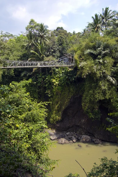 Puente de madera en la selva — Foto de Stock