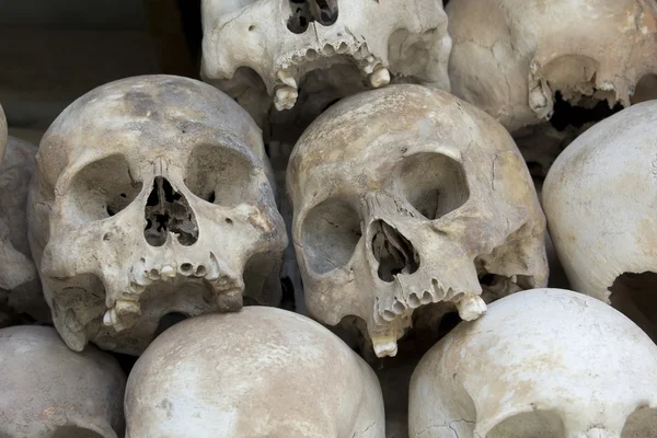 Crânios e ossos em Killing field — Fotografia de Stock