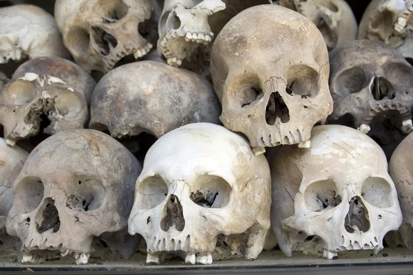 Crânios e ossos em Killing field — Fotografia de Stock