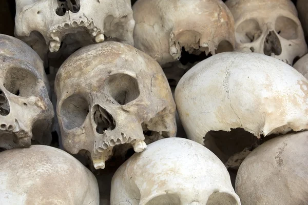 Skulls and bones in Killing field — Stock Photo, Image