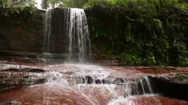 borneo ranforest nehir şelale