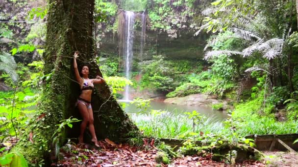 Сексуальная девушка склоняется огромное дерево в тропических лесах фоновый водопад — стоковое видео
