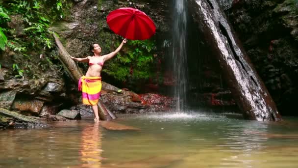 Girl with umbrella at waterfall in borneo rainforest — Stock Video