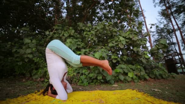 На відкритому повітрі йога медитації вправи в природі — стокове відео