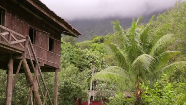 Bornéu tribal casas — Vídeo de Stock