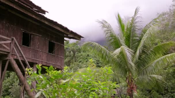 Casas tribales borneo — Vídeo de stock