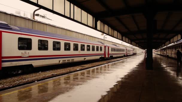 Мокрый железнодорожный вокзал с поездом — стоковое видео
