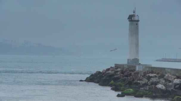 Vuurtoren zee natuur — Stockvideo