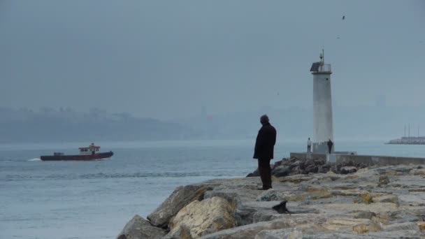 Lighthouse coast water nature — Stock Video