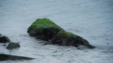 Rock dalgalar deniz mossed.