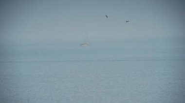 Deniz su doğa sakin