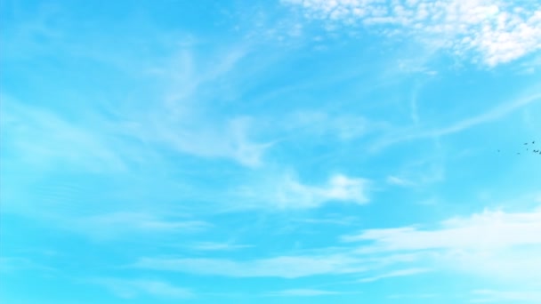 Cielo con nubes blancas y vuelo de aves — Vídeos de Stock