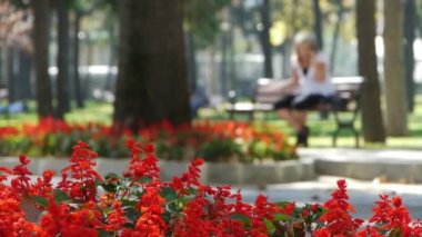 Bahçe güzel çiçekler doğaya