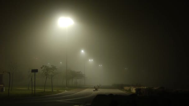 Mlhavé počasí v noci ulice park — Stock video