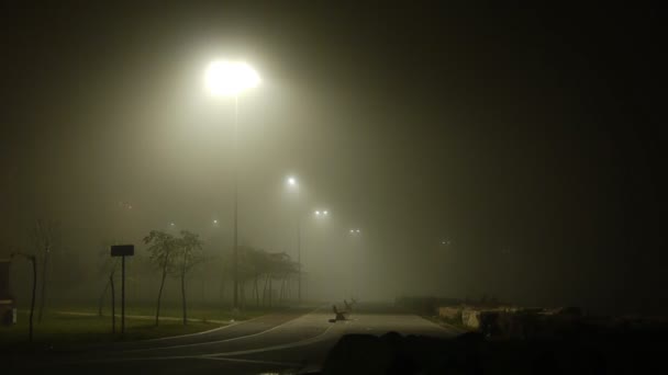 Mistig weer bij nacht straat park — Stockvideo