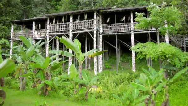 Tribal borneo houses — Stock Video