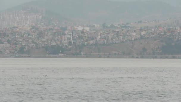 Большой мягкий морской пейзаж и пейзаж без кораблей — стоковое видео