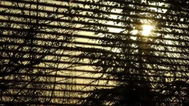 Cerrando y abriendo jalousie en la hermosa salida del sol puesta del sol — Vídeo de stock