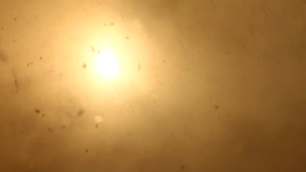 濃い曇り空雲太陽降雪雪 — ストック動画