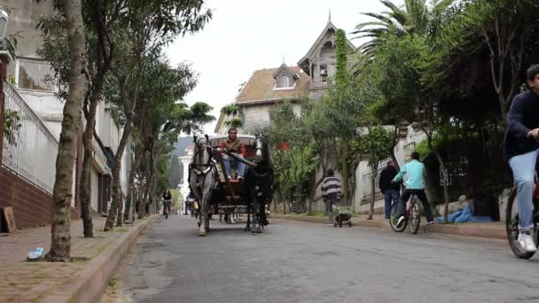 Équitation phaeton — Video