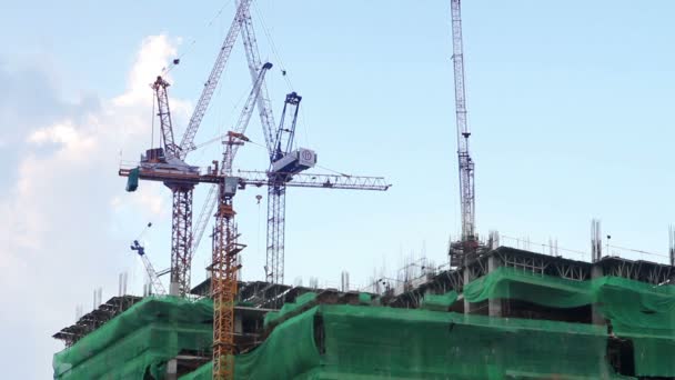 Construction avec grue — Video