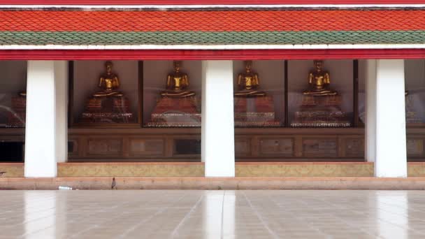 Golden Buddha Statues — Stock Video