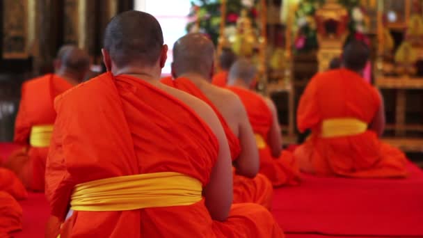 Buddhist monks pray in temple — Stock Video