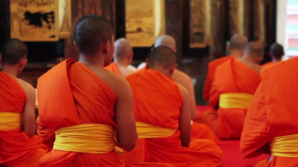 Buddhističtí mniši modlí v chrámu — Stock video