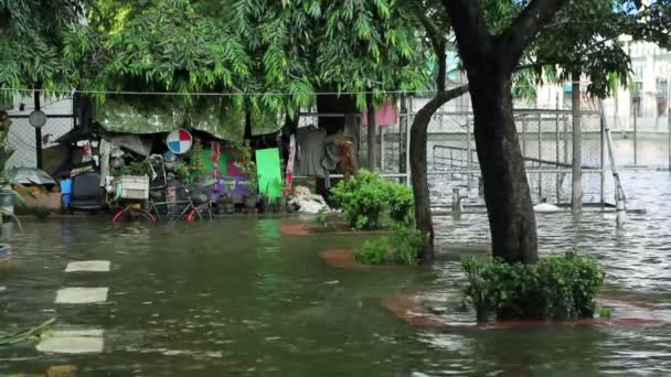 Overstroming — Stockvideo