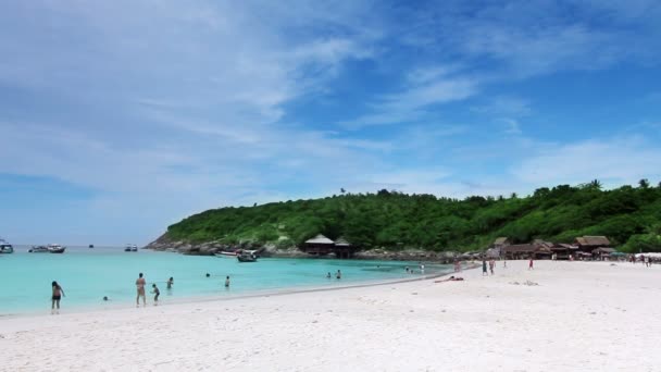 Zwemmen in een exotische strand — Stockvideo