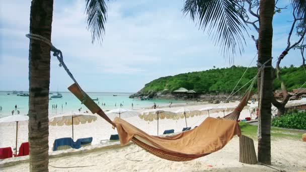 Empty hammock in an exotic beach — Stock Video